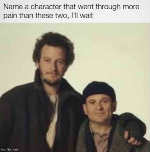 Marv and Harry | image tagged in home alone | made w/ Imgflip meme maker
