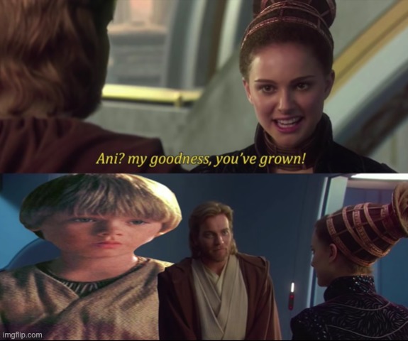 Ani? My goodness, you've grown! | image tagged in star wars,star wars prequels | made w/ Imgflip meme maker