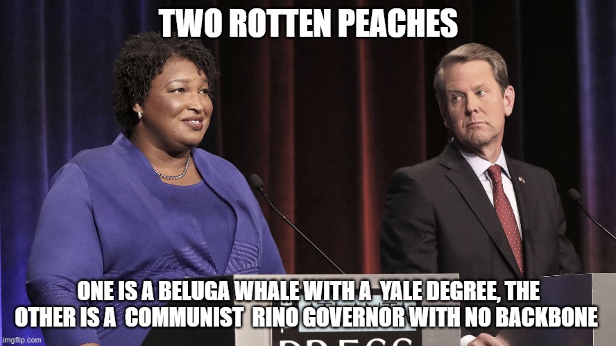 Georgia Corruption | TWO ROTTEN PEACHES; ONE IS A BELUGA WHALE WITH A  YALE DEGREE, THE OTHER IS A  COMMUNIST  RINO GOVERNOR WITH NO BACKBONE | image tagged in stacey abrams and brian kemp | made w/ Imgflip meme maker