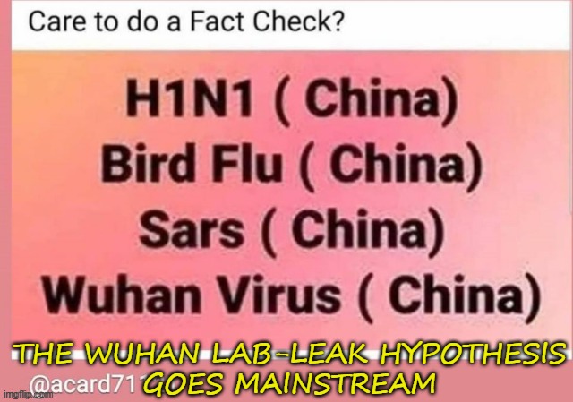 The Wuhan Lab-Leak Hypothesis Goes Mainstream | THE WUHAN LAB-LEAK HYPOTHESIS
GOES MAINSTREAM | image tagged in wuhanic | made w/ Imgflip meme maker