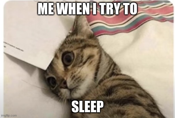 ME WHEN I TRY TO; SLEEP | image tagged in funny,cats | made w/ Imgflip meme maker