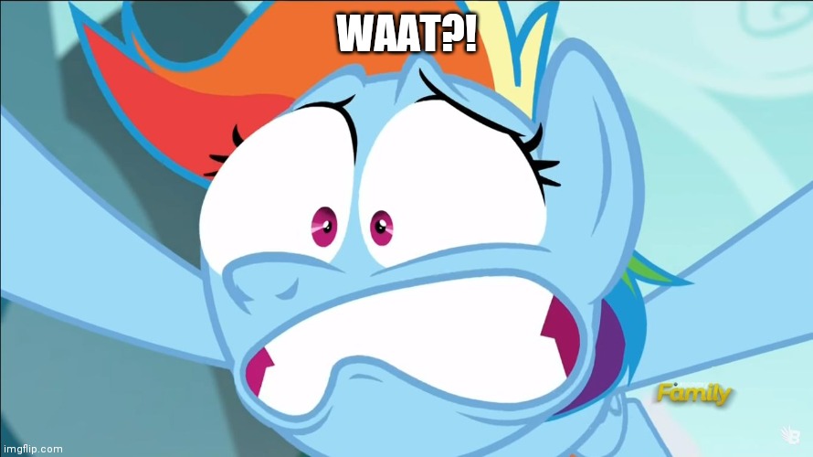 Rainbow Dash Shocked | WAAT?! | image tagged in rainbow dash shocked | made w/ Imgflip meme maker