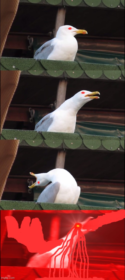 Dont Ask... I Was Bored........ | image tagged in memes,inhaling seagull | made w/ Imgflip meme maker