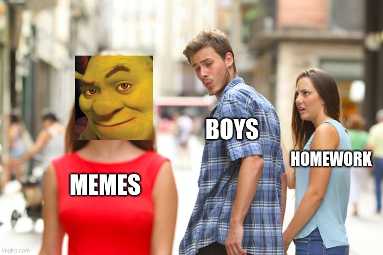distracted shrek | BOYS; HOMEWORK; MEMES | image tagged in memes,distracted boyfriend | made w/ Imgflip meme maker