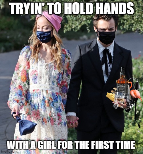 Holding Hands the First Time | TRYIN' TO HOLD HANDS; WITH A GIRL FOR THE FIRST TIME | image tagged in harry styles,olivia wilde,holding hands,dating,carrying stuff | made w/ Imgflip meme maker