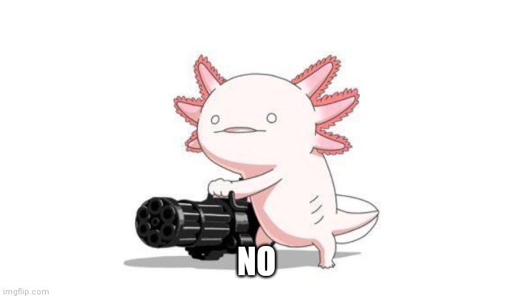 Axolotl gun | NO | image tagged in axolotl gun | made w/ Imgflip meme maker