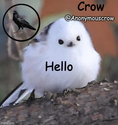 Anonymouscrow announce | Hello | image tagged in anonymouscrow announce | made w/ Imgflip meme maker