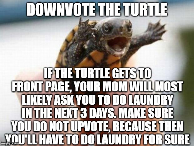 im testing psychology- | DOWNVOTE THE TURTLE; IF THE TURTLE GETS TO FRONT PAGE, YOUR MOM WILL MOST LIKELY ASK YOU TO DO LAUNDRY IN THE NEXT 3 DAYS. MAKE SURE YOU DO NOT UPVOTE, BECAUSE THEN YOU'LL HAVE TO DO LAUNDRY FOR SURE | image tagged in happy baby turtle | made w/ Imgflip meme maker