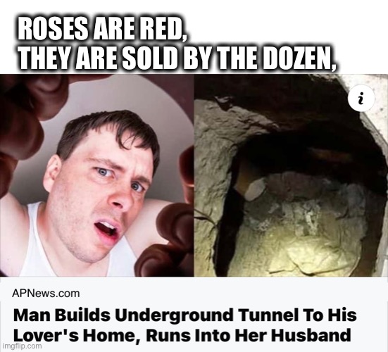 How embarrassing |  ROSES ARE RED,
THEY ARE SOLD BY THE DOZEN, | image tagged in roses are red,husband,tunnel,busted,oops,why | made w/ Imgflip meme maker