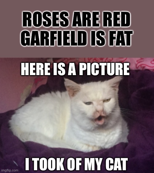 My Kitty | ROSES ARE RED
GARFIELD IS FAT; HERE IS A PICTURE; I TOOK OF MY CAT | image tagged in kitty cat dull surprise,cat | made w/ Imgflip meme maker