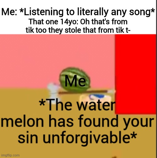 Seriosuly | Me: *Listening to literally any song*; That one 14yo: Oh that's from tik too they stole that from tik t-; Me | image tagged in the watermelon | made w/ Imgflip meme maker