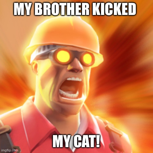 *angery* | MY BROTHER KICKED; MY CAT! | image tagged in tf2 engineer | made w/ Imgflip meme maker