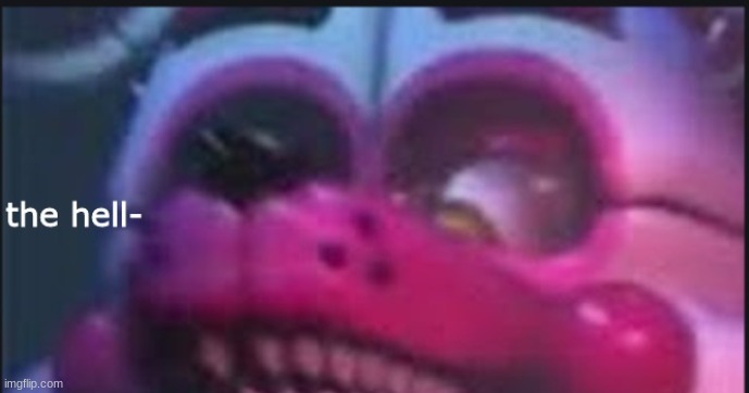 funtimefoxy the hell | image tagged in funtimefox the hell | made w/ Imgflip meme maker