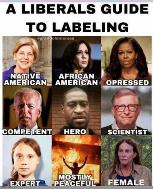 Liberals Guide to Labeling | image tagged in liberals,trump,maga,qanon,leftists | made w/ Imgflip meme maker