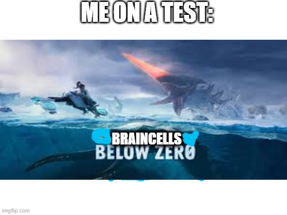 Tests r hard | ME ON A TEST:; BRAINCELLS | image tagged in memes,not funny | made w/ Imgflip meme maker