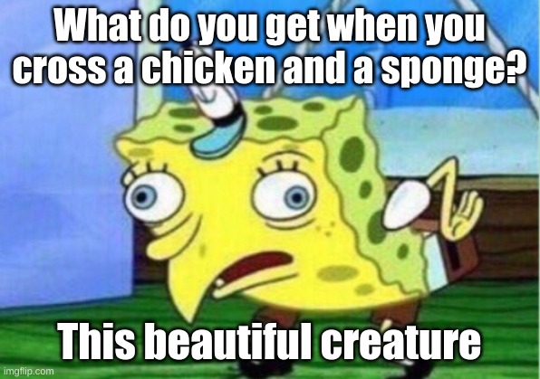 Mocking Sponge | What do you get when you cross a chicken and a sponge? This beautiful creature | image tagged in memes,mocking spongebob | made w/ Imgflip meme maker