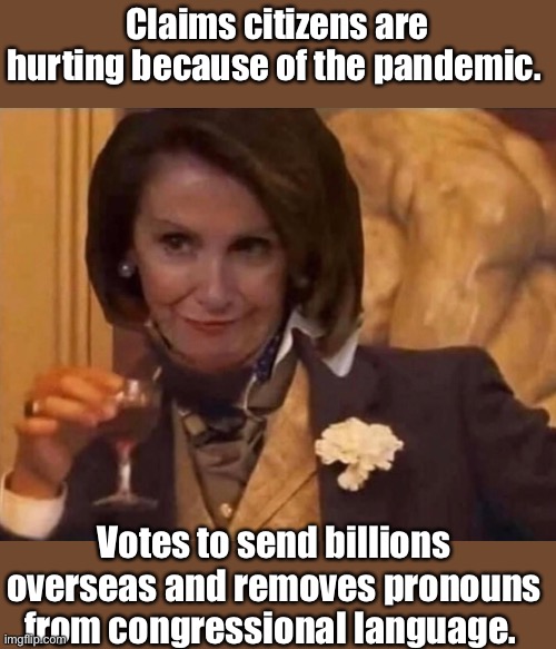 Pronouns are the problem | Claims citizens are hurting because of the pandemic. Votes to send billions overseas and removes pronouns from congressional language. | image tagged in nancy pelosi,memes,congress,politics lol,stupid people | made w/ Imgflip meme maker