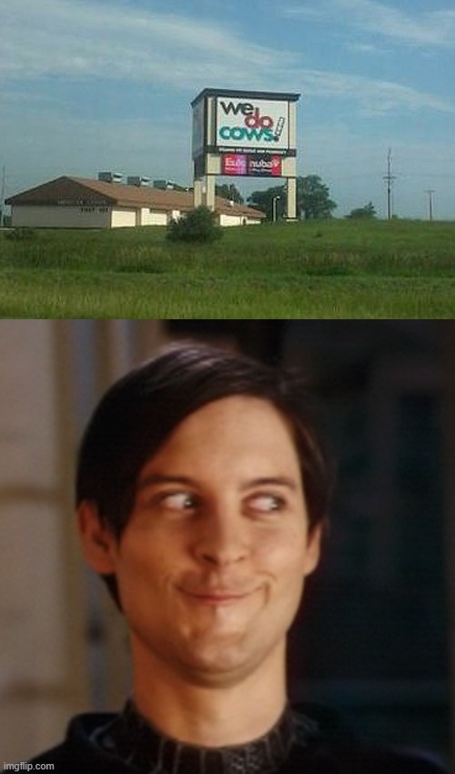 Well....I'm curious... | image tagged in funny signs,tobey maguire | made w/ Imgflip meme maker