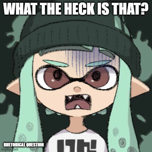 WHAT THE HECK IS THAT? RHETORICAL QUESTION | made w/ Imgflip meme maker