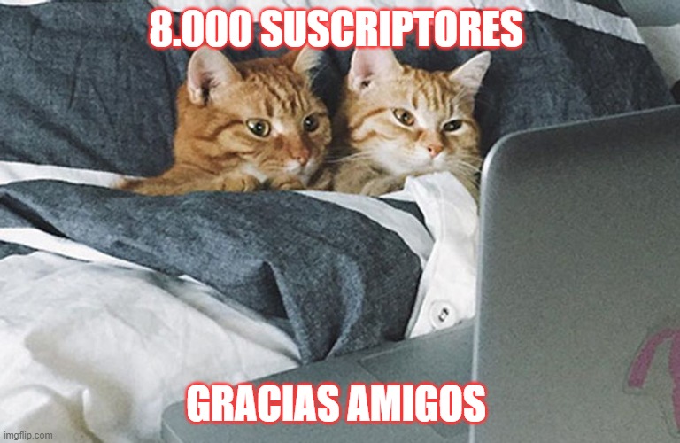 8.000 SUSCRIPTORES; GRACIAS AMIGOS | image tagged in suscriptores | made w/ Imgflip meme maker
