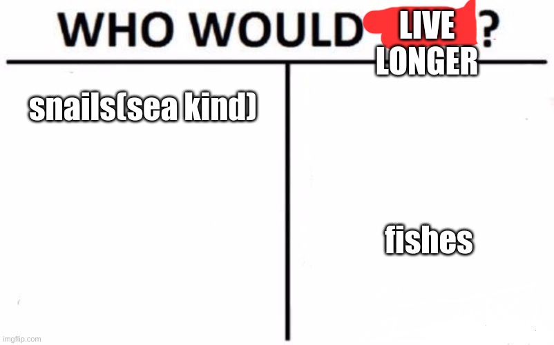 happy birth-day to this stream. this stream is new!!! | LIVE LONGER; snails(sea kind); fishes | image tagged in memes,who would win | made w/ Imgflip meme maker