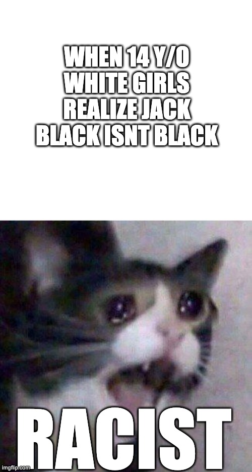 EeEEeEEeEE | WHEN 14 Y/O WHITE GIRLS REALIZE JACK BLACK ISNT BLACK; RACIST | image tagged in white,cat screaming,jack black,14 year old girl | made w/ Imgflip meme maker