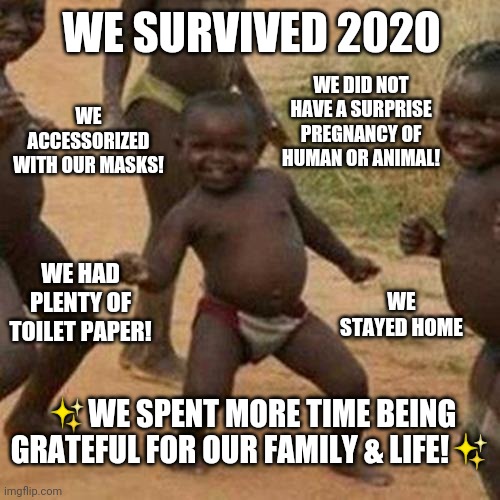 We Survived! | WE SURVIVED 2020; WE DID NOT HAVE A SURPRISE PREGNANCY OF HUMAN OR ANIMAL! WE ACCESSORIZED WITH OUR MASKS! WE HAD PLENTY OF TOILET PAPER! WE STAYED HOME; ✨WE SPENT MORE TIME BEING GRATEFUL FOR OUR FAMILY & LIFE!✨ | image tagged in memes,third world success kid | made w/ Imgflip meme maker