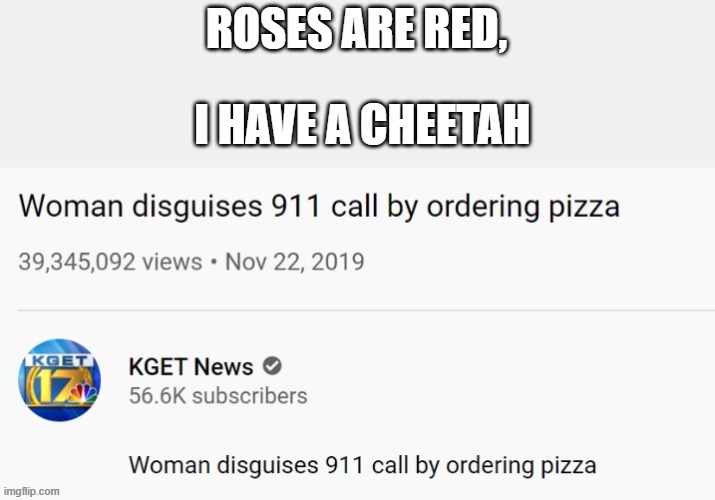 That's what's called a pro gamer move | ROSES ARE RED, I HAVE A CHEETAH | image tagged in memes,roses are red | made w/ Imgflip meme maker