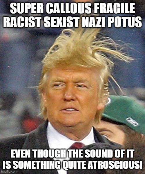Donald Trumph hair | SUPER CALLOUS FRAGILE RACIST SEXIST NAZI POTUS; EVEN THOUGH THE SOUND OF IT IS SOMETHING QUITE ATROSCIOUS! | image tagged in donald trumph hair | made w/ Imgflip meme maker
