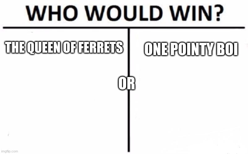 yup | THE QUEEN OF FERRETS; ONE POINTY BOI; OR | image tagged in memes,who would win | made w/ Imgflip meme maker