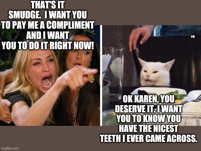 Smudge the cat | THAT'S IT SMUDGE.  I WANT YOU TO PAY ME A COMPLIMENT AND I WANT YOU TO DO IT RIGHT NOW! J M; OK KAREN, YOU DESERVE IT. I WANT YOU TO KNOW YOU HAVE THE NICEST TEETH I EVER CAME ACROSS. | image tagged in smudge the cat | made w/ Imgflip meme maker