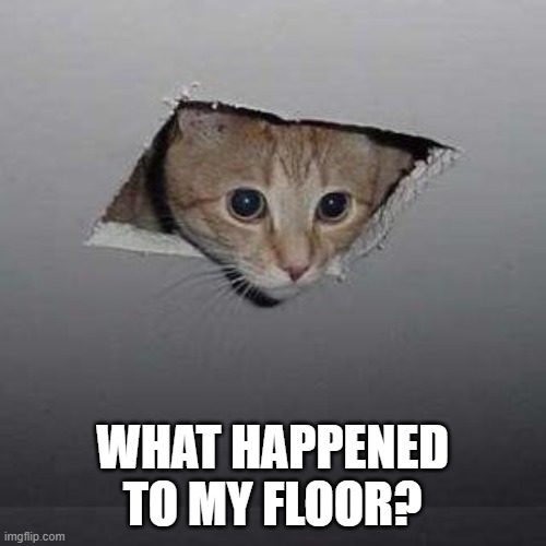 Time for a carpenter | WHAT HAPPENED TO MY FLOOR? | image tagged in memes,ceiling cat,hole,damage,house,dangerous | made w/ Imgflip meme maker