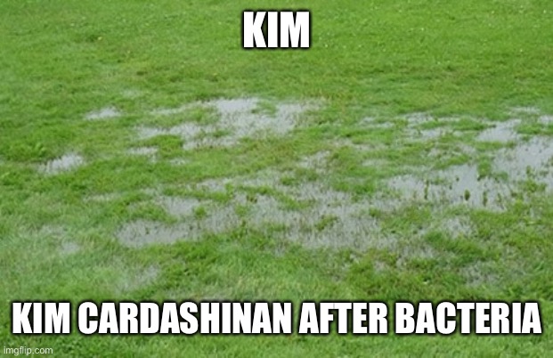 Puddle in yard | KIM KIM CARDASHINAN AFTER BACTERIA | image tagged in puddle in yard | made w/ Imgflip meme maker