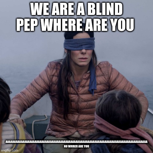 Bird Box Meme | WE ARE A BLIND PEP WHERE ARE YOU; AAAAAAAAAAAAAAAAAAAAAAAAAAAAAAAAAAAAAAAAAAAAAAAAAAAAAAAAAAAAAAAAAAAAAAAAAAAAAAAAAAA NO WHRER ARE YOU | image tagged in memes,bird box | made w/ Imgflip meme maker