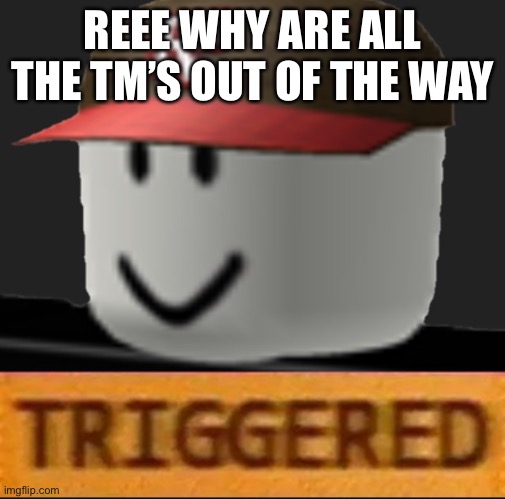 Strength was literally in a house you can just skip | REEE WHY ARE ALL THE TM’S OUT OF THE WAY | image tagged in roblox triggered | made w/ Imgflip meme maker