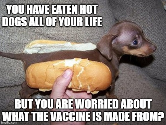 WORRIED ABOUT THE VACCINE? | YOU HAVE EATEN HOT DOGS ALL OF YOUR LIFE; BUT YOU ARE WORRIED ABOUT WHAT THE VACCINE IS MADE FROM? | image tagged in vaccine,hot dog,mystery,meat,covid-19,worried | made w/ Imgflip meme maker