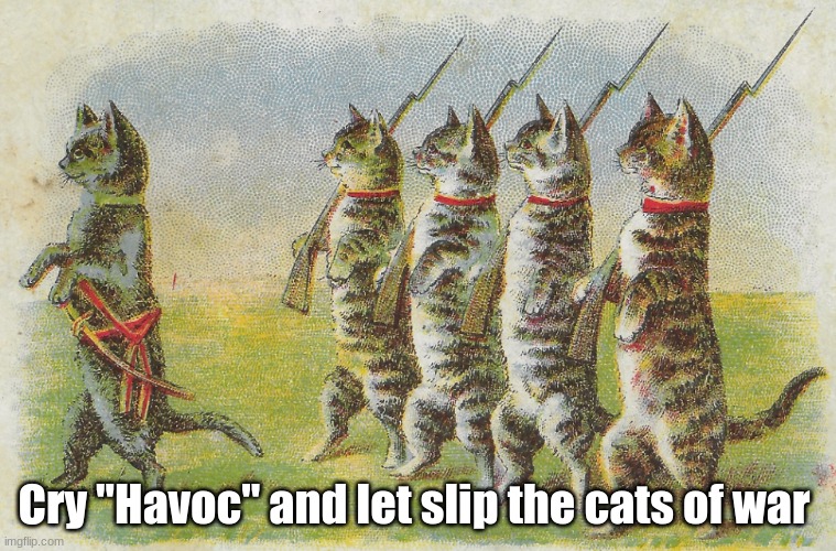 Cry "Havoc" and let slip the cats of war | image tagged in cats of war,william shakespeare,mark antony,julius caesar,cats | made w/ Imgflip meme maker