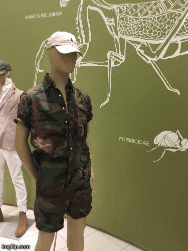 Bugging Out | image tagged in gifs,fashion,saks fifth avenue,summer,pests,camouflage | made w/ Imgflip images-to-gif maker