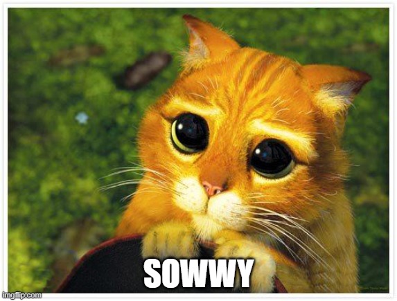 Sorry Kitty | SOWWY | image tagged in sorry kitty | made w/ Imgflip meme maker