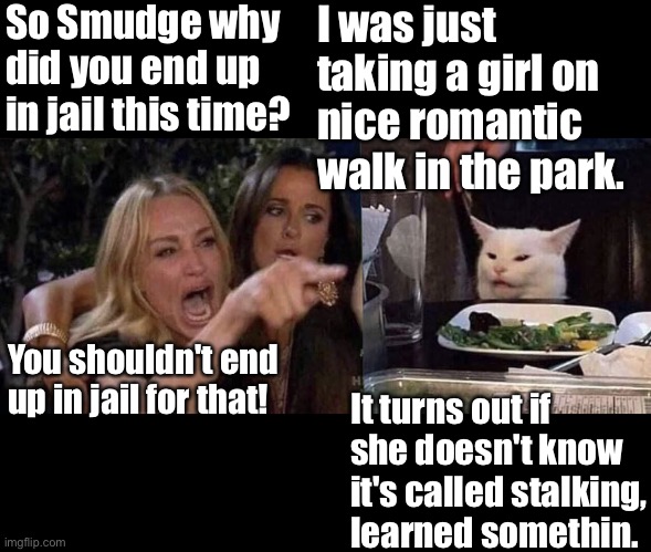 Woman yelling at cat | So Smudge why did you end up in jail this time? I was just taking a girl on nice romantic walk in the park. It turns out if she doesn't know it's called stalking, learned somethin. You shouldn't end up in jail for that! | image tagged in woman yelling at cat | made w/ Imgflip meme maker