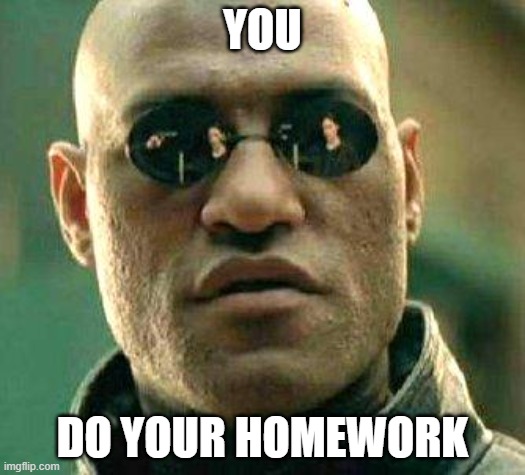 Do your homework | YOU; DO YOUR HOMEWORK | image tagged in what if i told you,do your homework | made w/ Imgflip meme maker