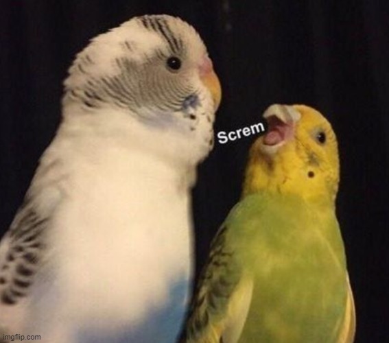 image tagged in screm | made w/ Imgflip meme maker