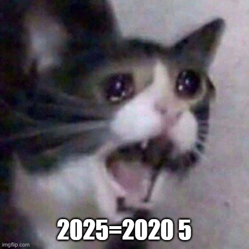 Screaming Cat meme | 2025=2020 5 | image tagged in screaming cat meme | made w/ Imgflip meme maker