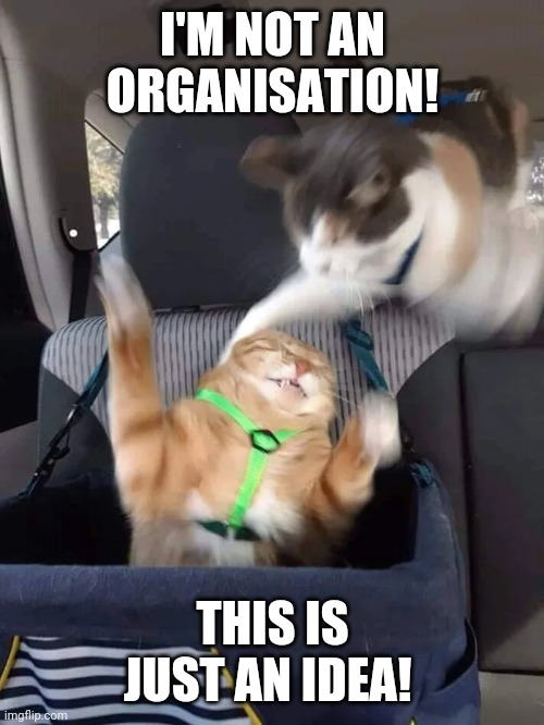 Cat attack | I'M NOT AN ORGANISATION! THIS IS JUST AN IDEA! | image tagged in cat attack | made w/ Imgflip meme maker