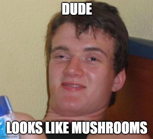 10 Guy Meme | DUDE LOOKS LIKE MUSHROOMS | image tagged in memes,10 guy | made w/ Imgflip meme maker