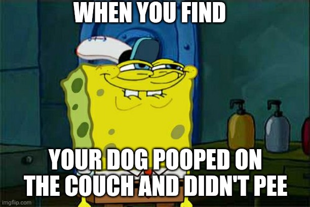Dog pooped o the couch | WHEN YOU FIND; YOUR DOG POOPED ON THE COUCH AND DIDN'T PEE | image tagged in memes,dont you squidward,dog pooped | made w/ Imgflip meme maker