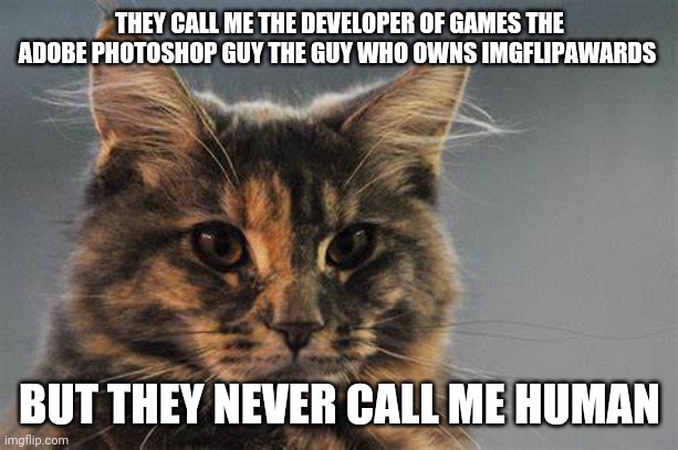 So deep ? | THEY CALL ME THE DEVELOPER OF GAMES THE ADOBE PHOTOSHOP GUY THE GUY WHO OWNS IMGFLIPAWARDS; BUT THEY NEVER CALL ME HUMAN | image tagged in raycats 1st template | made w/ Imgflip meme maker