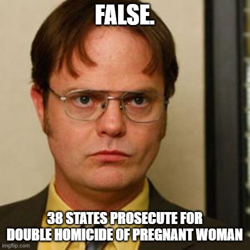 FALSE. 38 STATES PROSECUTE FOR DOUBLE HOMICIDE OF PREGNANT WOMAN | image tagged in dwight fact | made w/ Imgflip meme maker