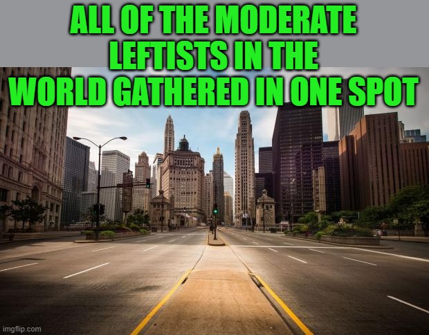 Empty Streets | ALL OF THE MODERATE LEFTISTS IN THE WORLD GATHERED IN ONE SPOT | image tagged in empty streets | made w/ Imgflip meme maker