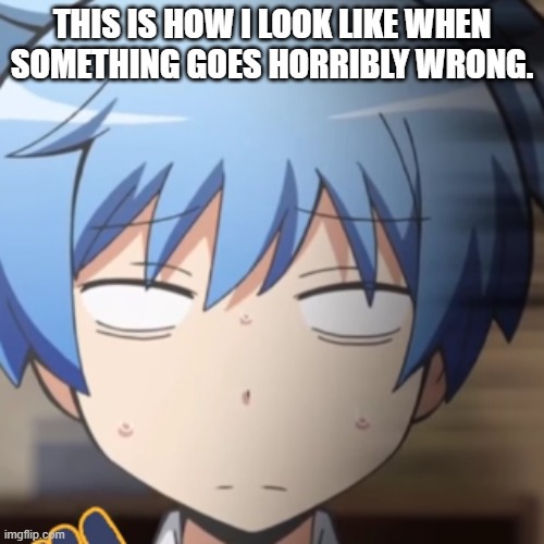 What I Look Like Whenever Something Goes Horribly Wrong | THIS IS HOW I LOOK LIKE WHEN SOMETHING GOES HORRIBLY WRONG. | image tagged in omg nooooooooo,nagisa shiota,assassination classroom,horrible situations,oof,this is how i look like when | made w/ Imgflip meme maker